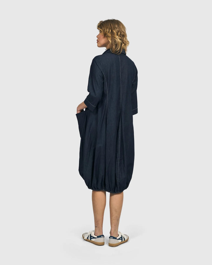 Winona Wonderful Dress, Denim