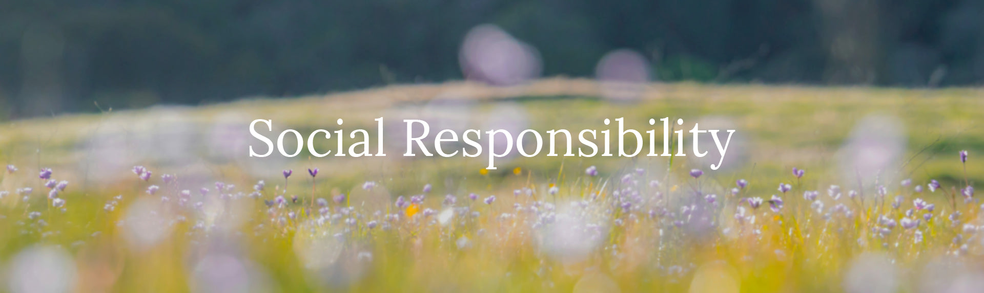 Social Responsibility Page Header.jpg__PID:5ac4a247-4a14-40d6-823b-eecb0f89b326