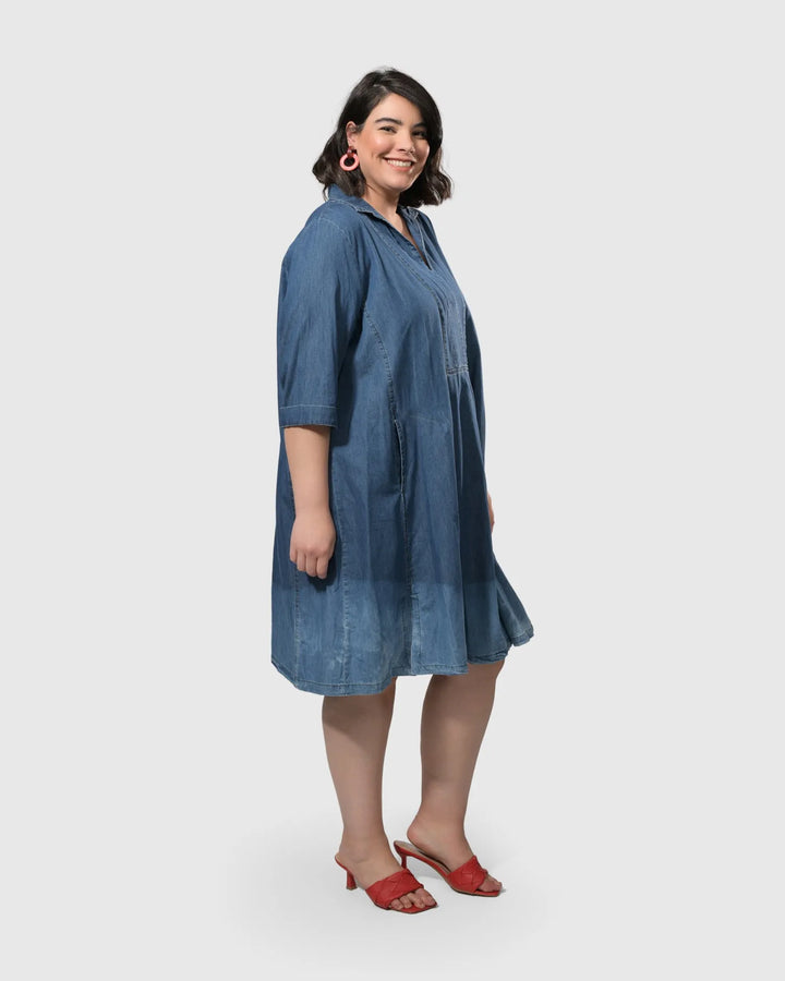 Pas Ombré Swing Dress, Denim