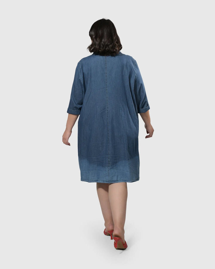 Pas Ombré Swing Dress, Denim