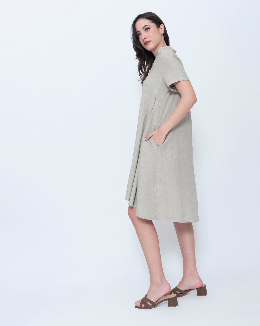 Blueberry Collared Swing Dress, Beige