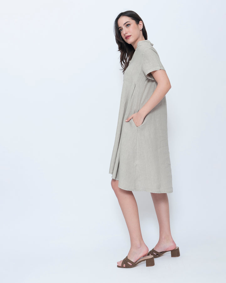 Blueberry Collared Swing Dress, Beige