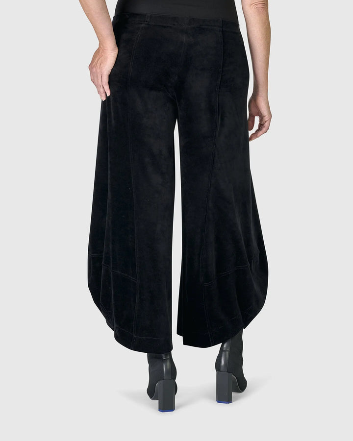 Oracle Velvet Punto Pants, Black