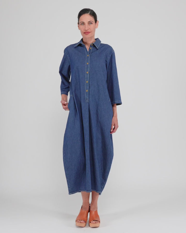 Celine Maxi Shirtdress, Denim